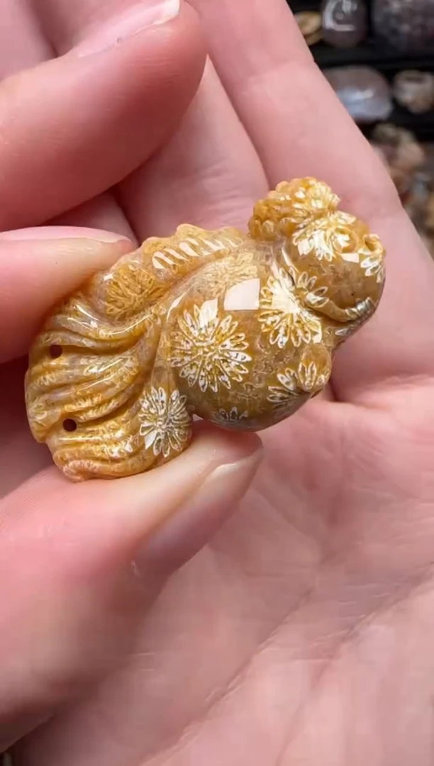 颈饰未镶嵌硅化珊瑚（珊瑚玉）123