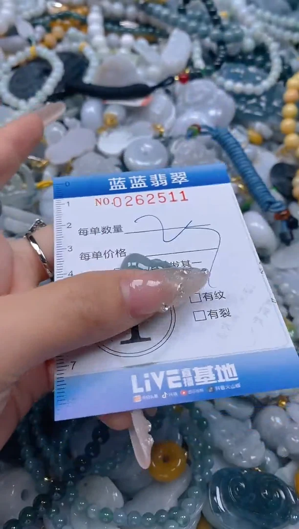 翡翠未镶嵌颈饰闪购0262511