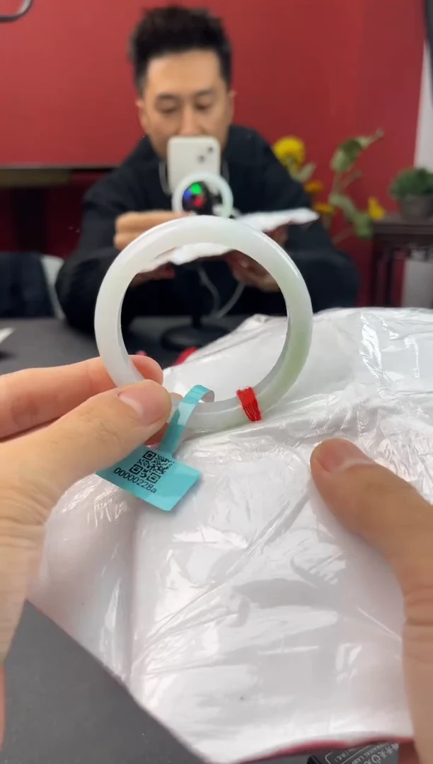 未镶嵌手镯翡翠4    53