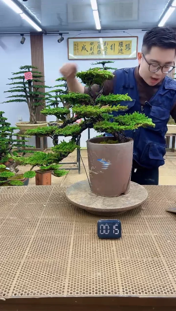 无花朵00000000000