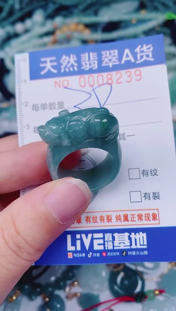 颈饰未镶嵌翡翠00008239