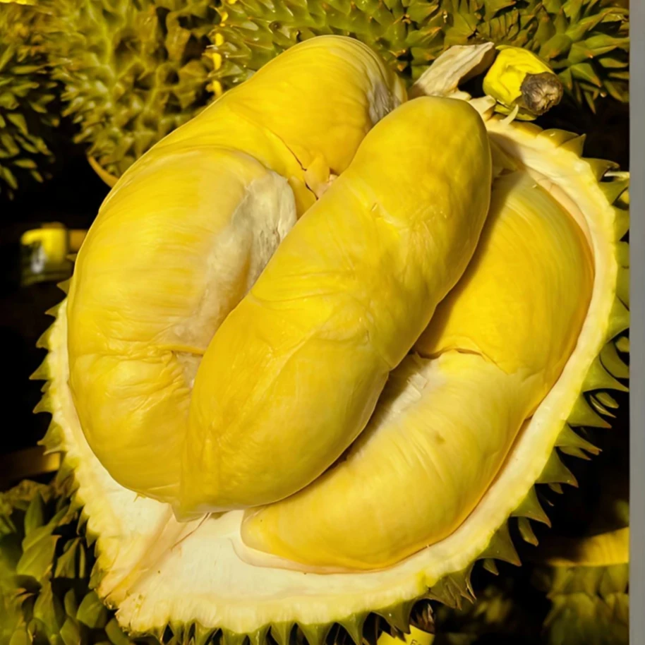 （一物一拍）AA泰国金枕榴莲4-5斤 整果新鲜带壳 收到辨别生熟开果