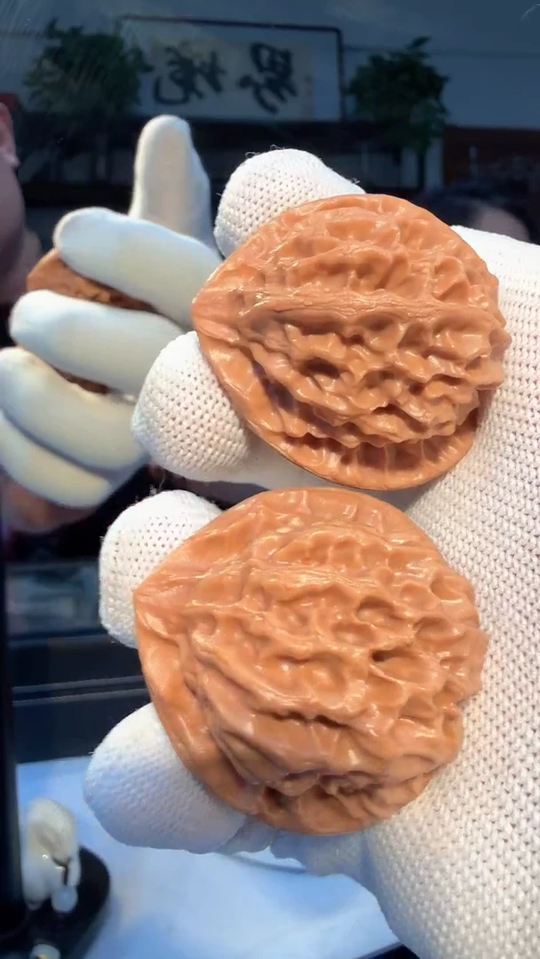 核桃016 龙鳞 40尺