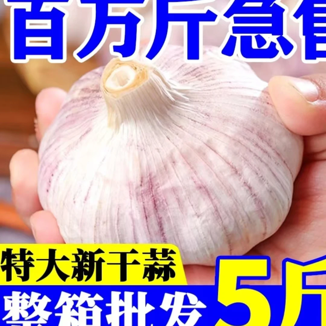 25年新干蒜农家干蒜纯干蒜紫白皮手工挑选
