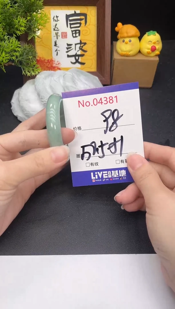 未镶嵌手镯翡翠4381