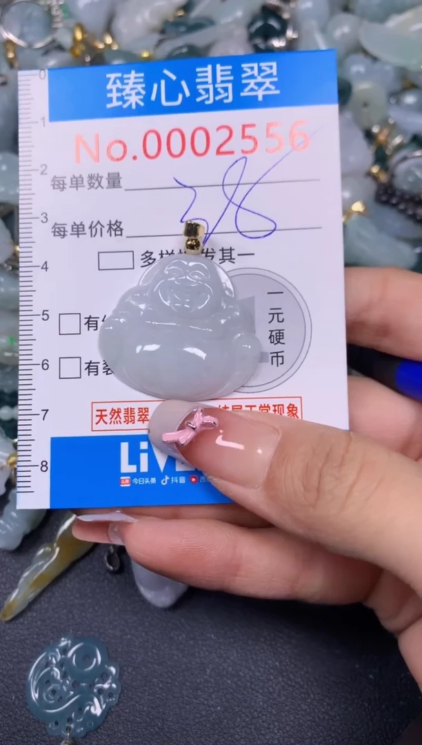 【闪购商品】翡翠颈饰未镶嵌含绳0002556