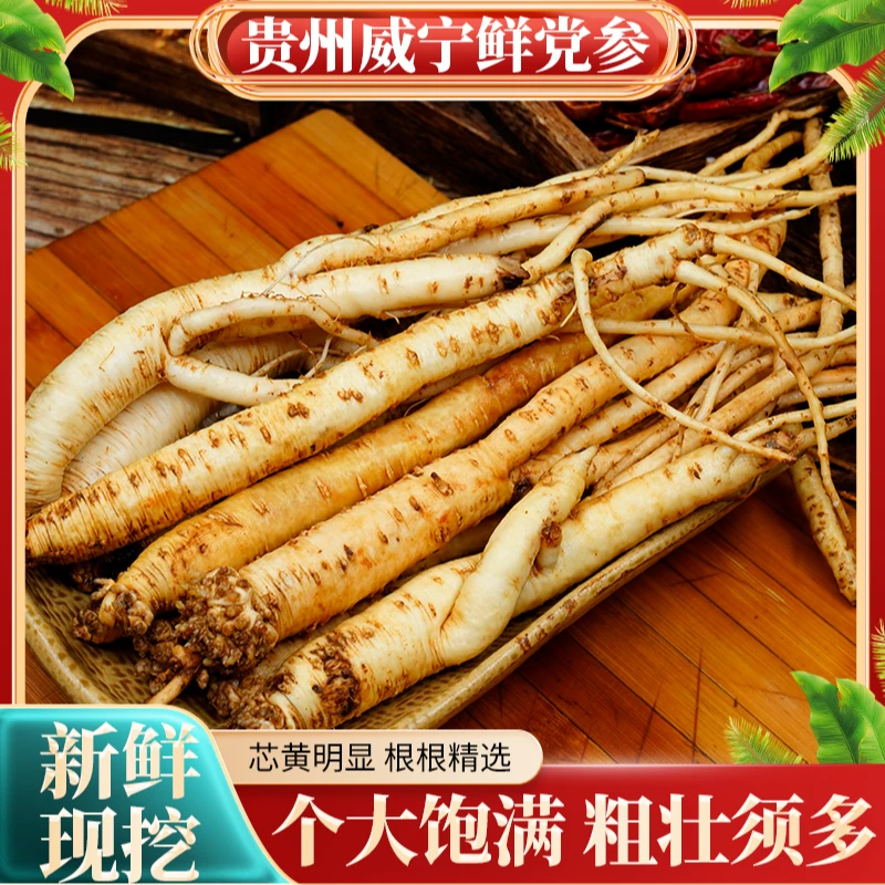 贵州威宁当季新鲜党参煲汤煮鸡产地直供