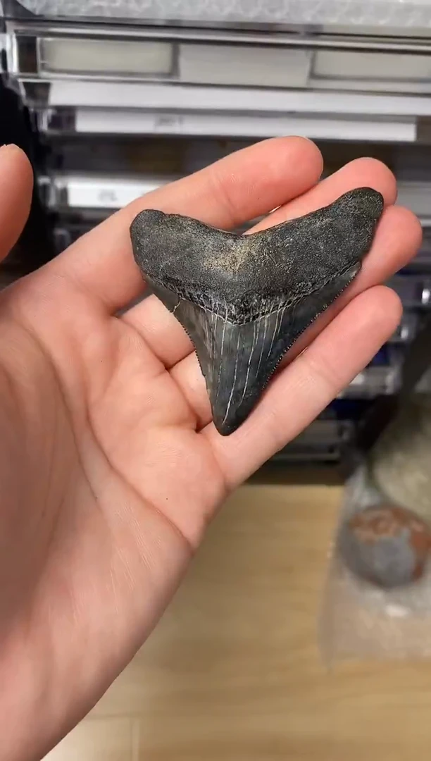 蓝精美摆件创意礼物家居配饰新年礼物个人收藏