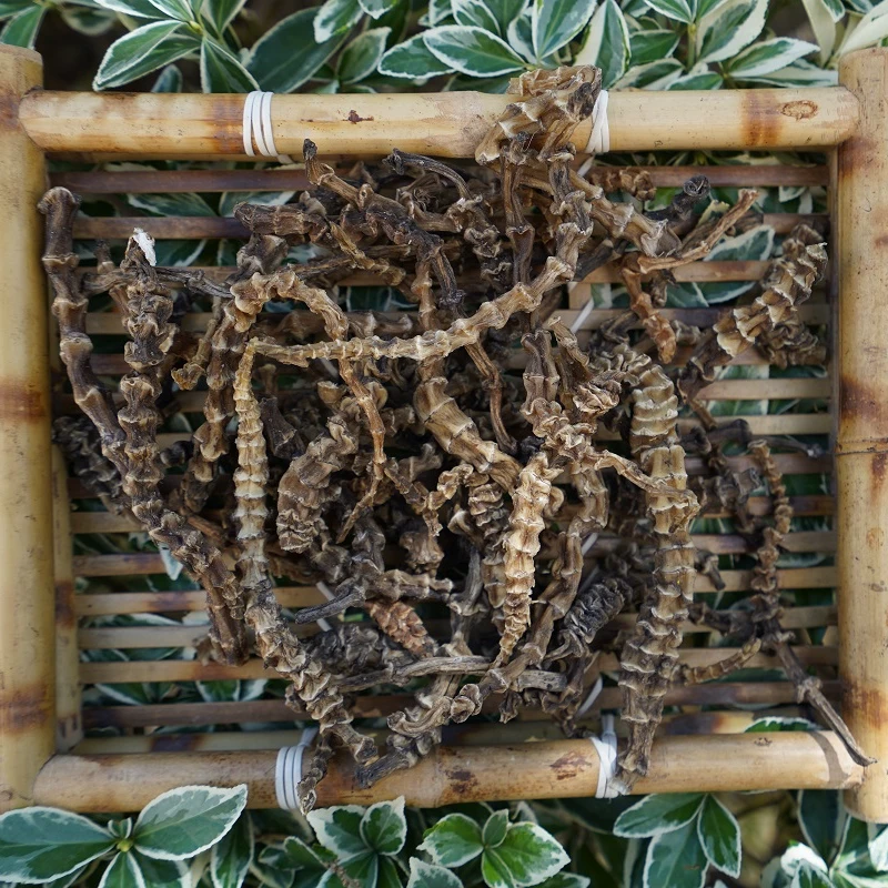 【竹夏专属】高山 农家 虫草参 地参