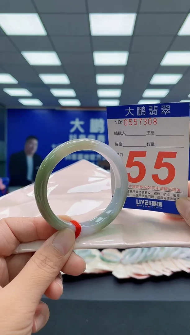 未镶嵌手镯翡翠AAAAAAAAA