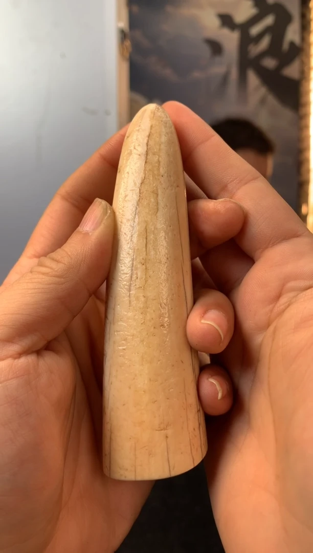 【闪购商品】橄榄核其他猛犸猛犸猛犸猛犸59