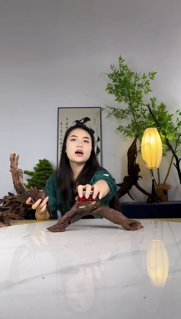 力拍这个定向编号5