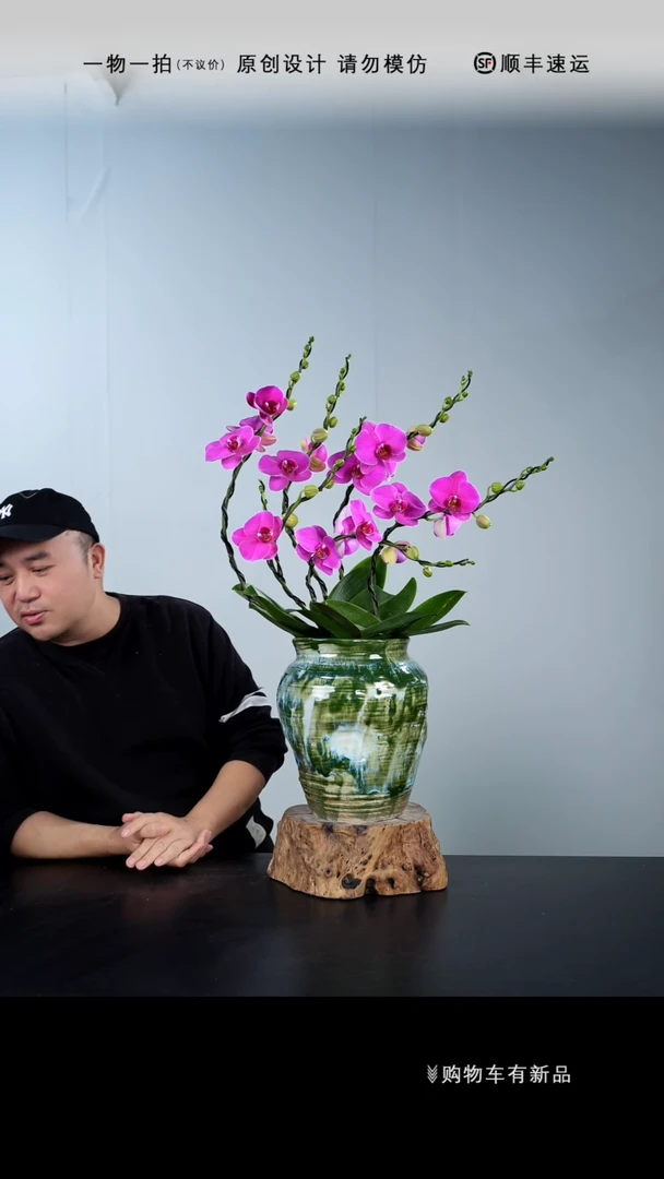 【闪购商品】095号链接【一物一拍】艺术盆景