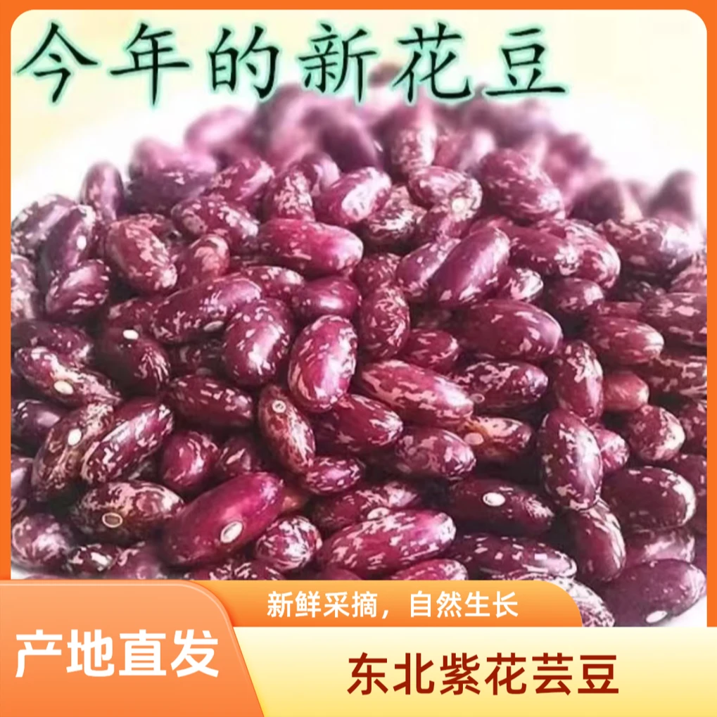 【每日500单福利抢5斤包邮】新紫花芸豆饭豆腰豆五谷杂粮产地直发