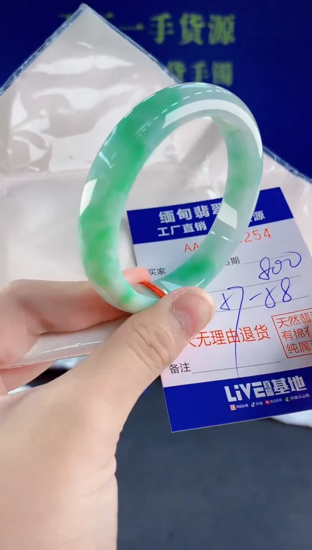 未镶嵌手镯翡翠54