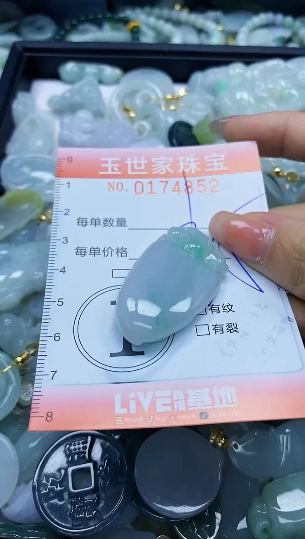【闪购商品】翡翠颈饰未镶嵌闪购0174852