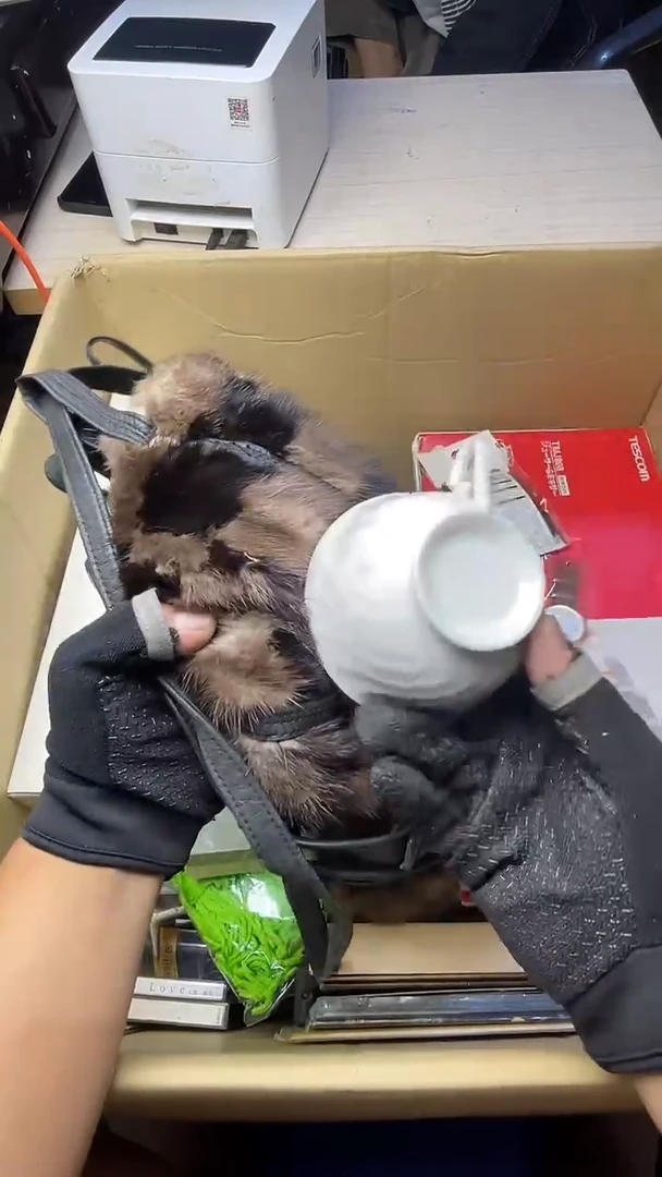 .二手商品不退不换