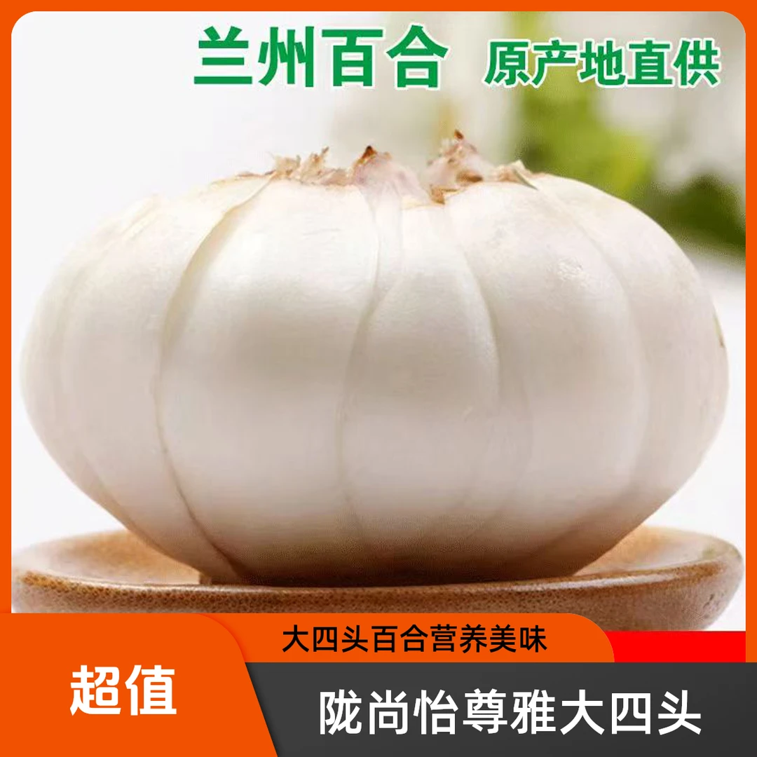陇尚怡尊雅大四头鲜百合