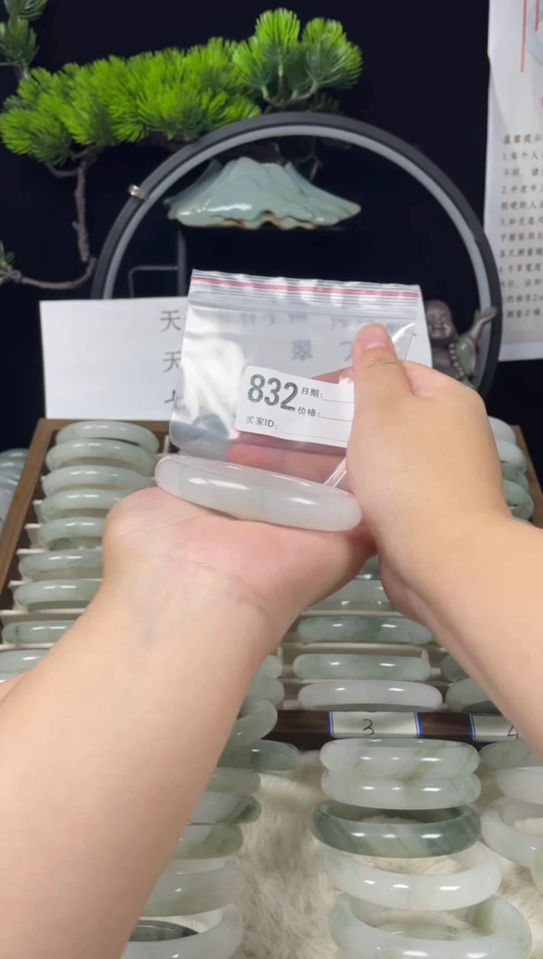 未镶嵌手镯石英质玉（天山翠）832