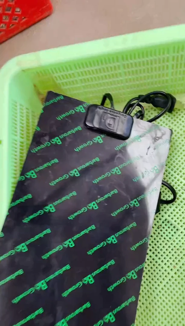 微瑕加热垫以测试