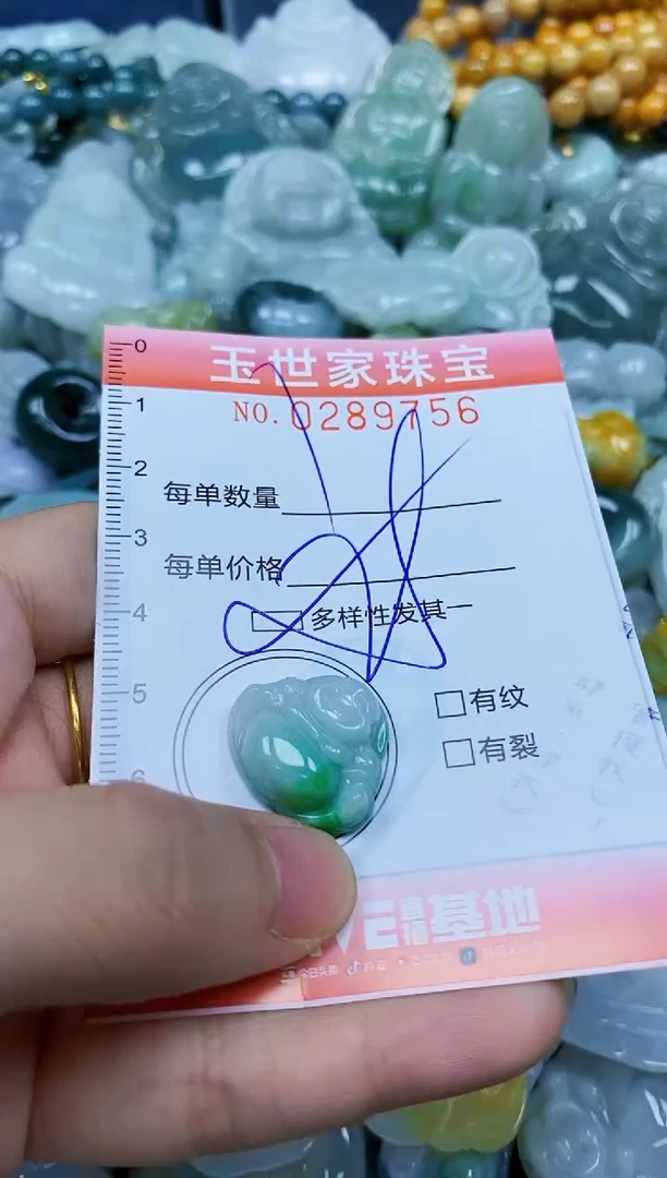 翡翠未镶嵌颈饰闪购0289756多样性发其一