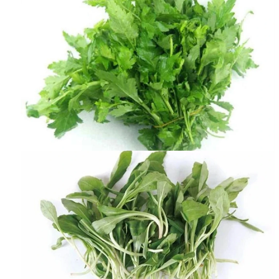 八卦洲新鲜现采现摘蔬菜组合装农家自种菜