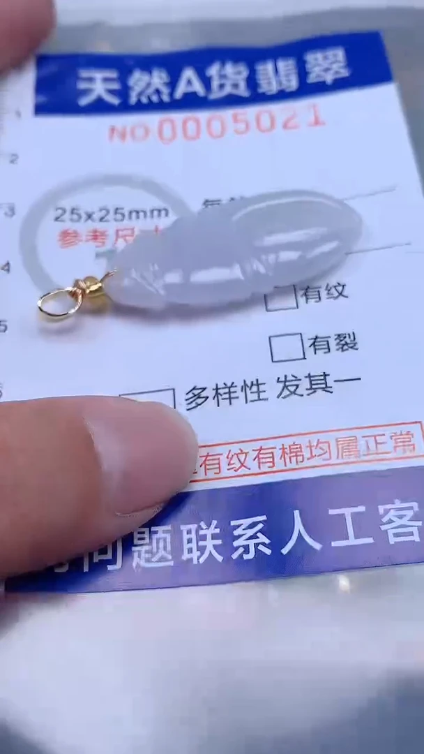 翡翠未镶嵌吊坠(不含链)1