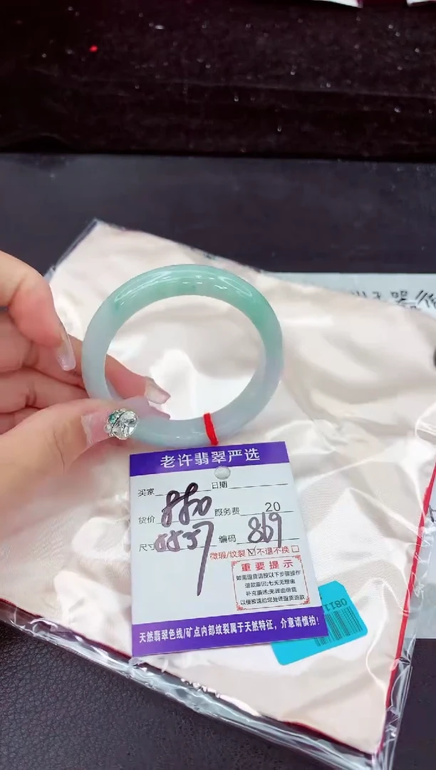 未镶嵌手镯翡翠1