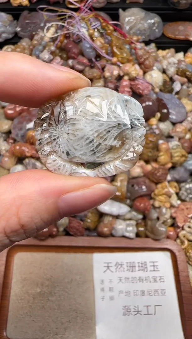 硅化珊瑚（珊瑚玉）未镶嵌颈饰052