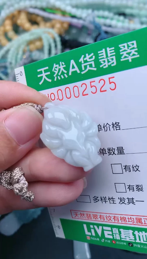 翡翠未镶嵌颈饰.0002525