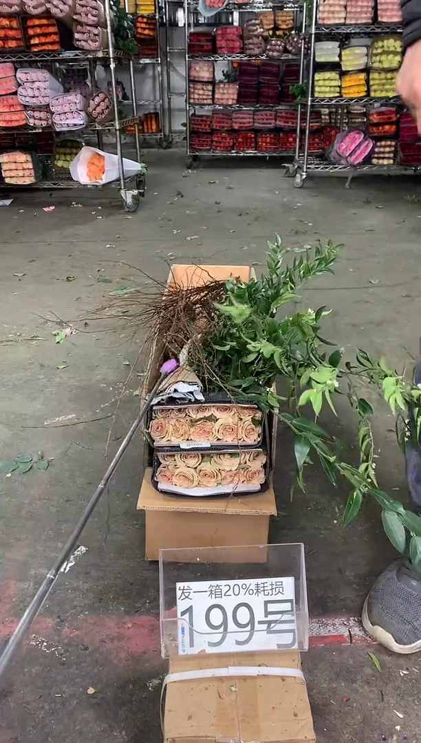 199号♥中通含20%耗损发一箱鲜花
