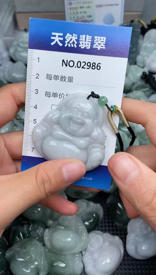 颈饰未镶嵌翡翠纯天然A货翡翠2986