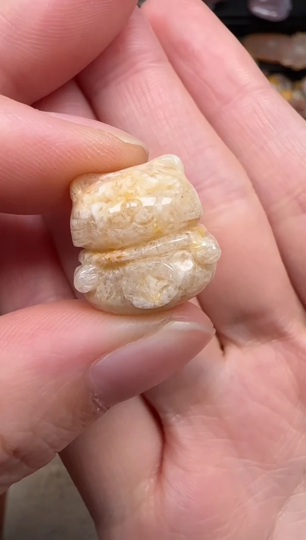 硅化珊瑚（珊瑚玉）未镶嵌颈饰269