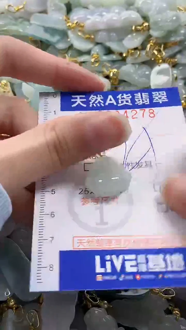 颈饰未镶嵌翡翠纯天然货a翡翠