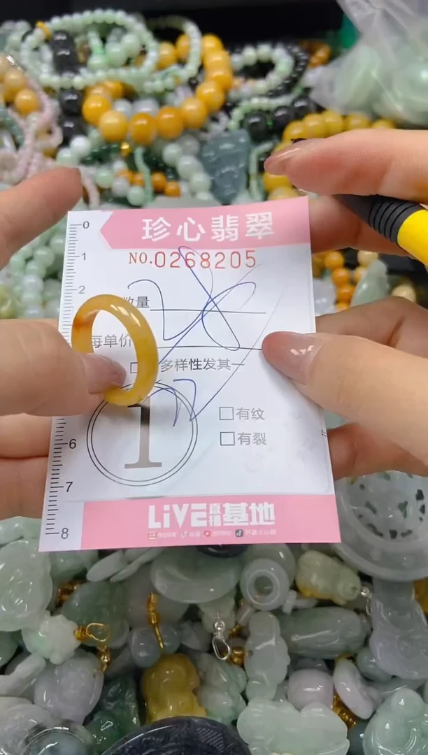 翡翠未镶嵌颈饰闪购0268205