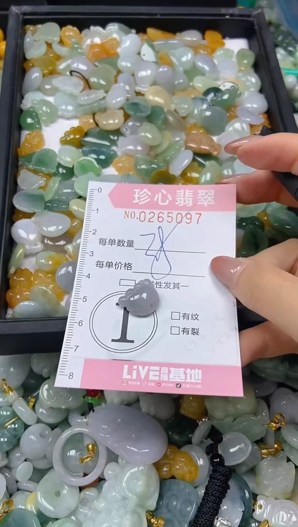 翡翠未镶嵌颈饰闪购0265097