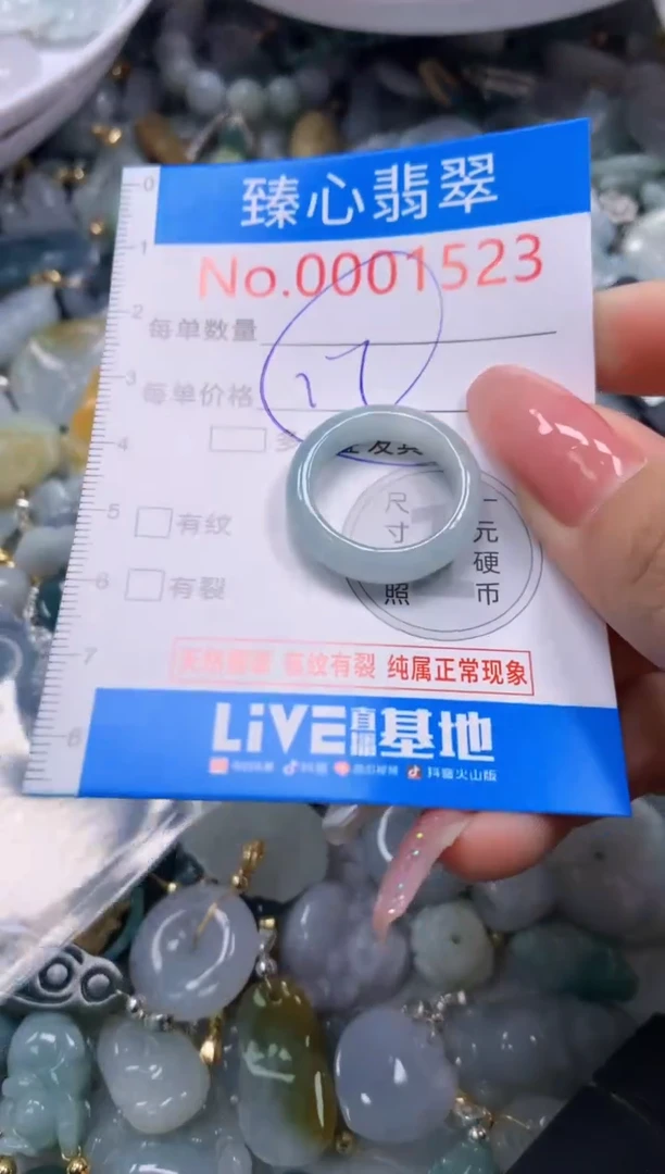 翡翠未镶嵌颈饰1523