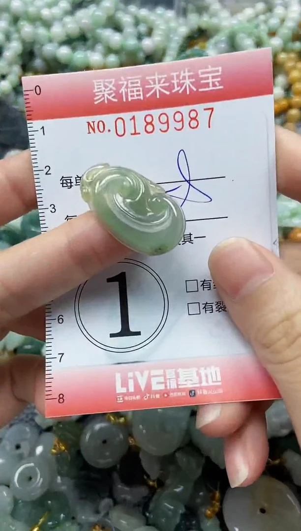 翡翠未镶嵌颈饰闪购0189987