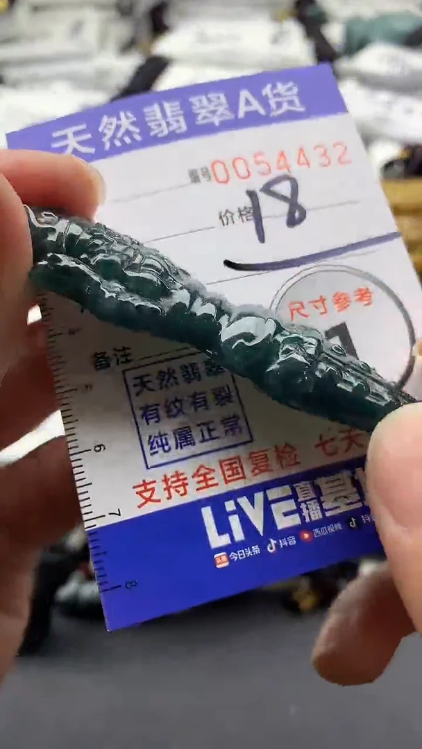 【闪购商品】翡翠颈饰未镶嵌55555555555