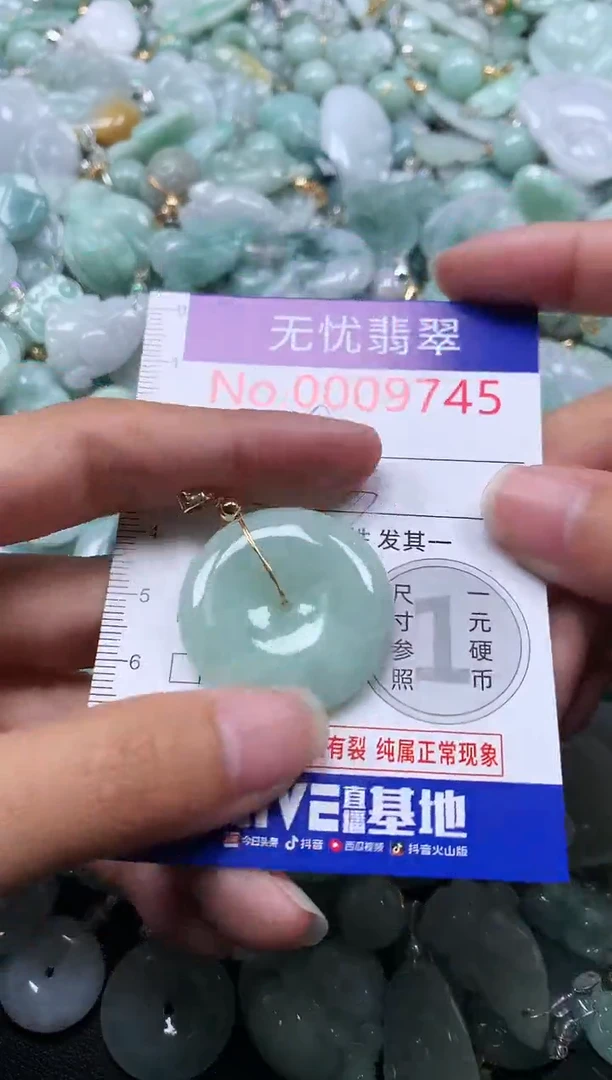 颈饰未镶嵌翡翠9745