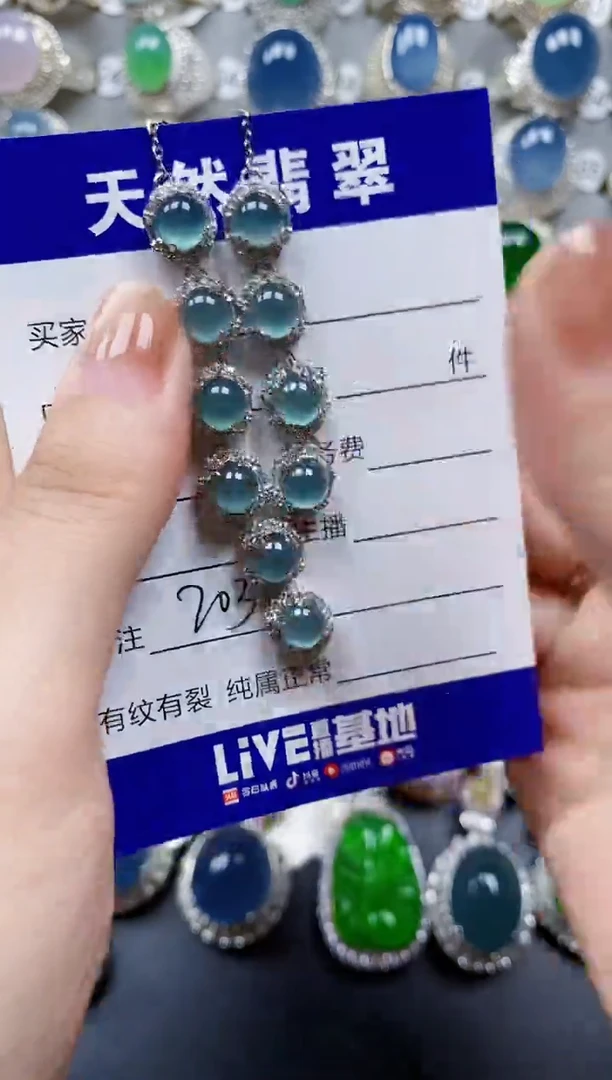 翡翠银S925镶嵌颈饰0203