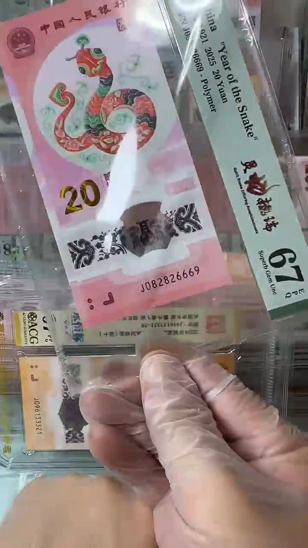 塑料082826669-蛇钞单张