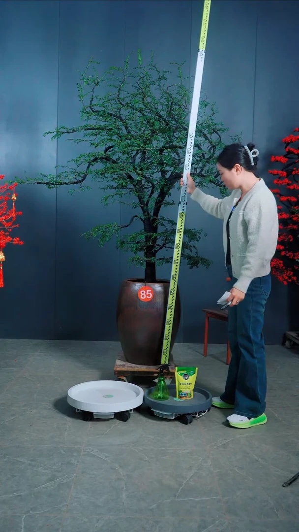 无花朵ㅤ*广东小叶紫檀.85号