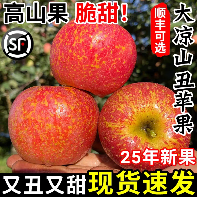 【顺丰发货】T四川大凉山盐源丑苹果脆甜多汁现摘现发