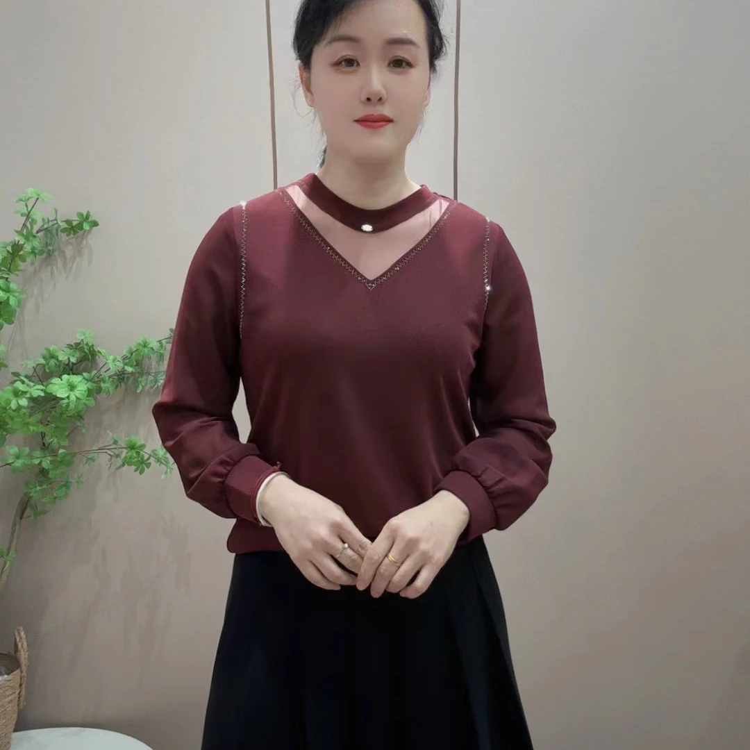 2025春季新款时尚百搭镂空领设计款网纱袖上衣3371