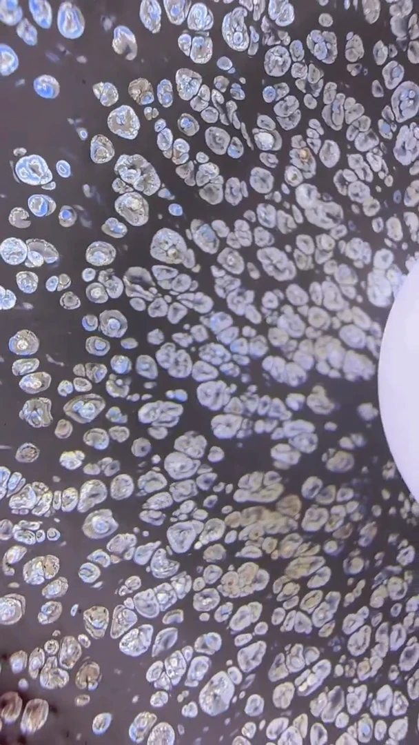 茶盏473建盏建盏建盏