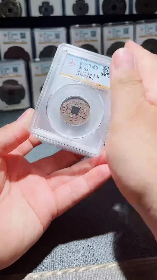 铜A126风公博大定通宝88分一枚