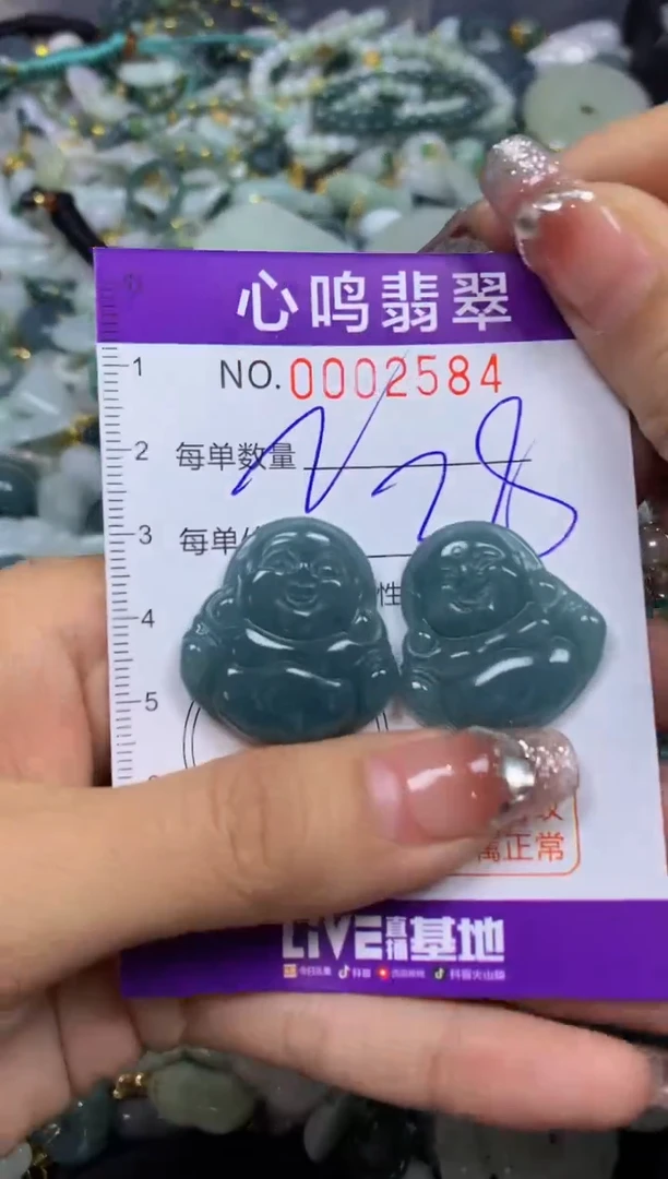 【闪购商品】翡翠颈饰未镶嵌闪购002584