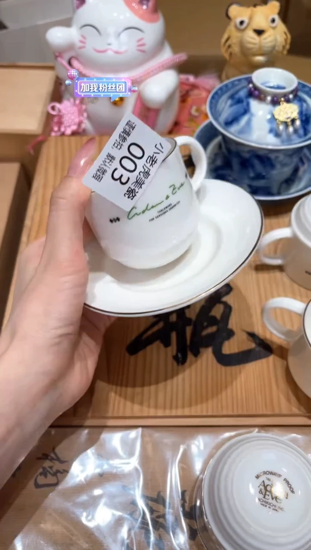 瓷片『瓷器小老虎美瓷』3