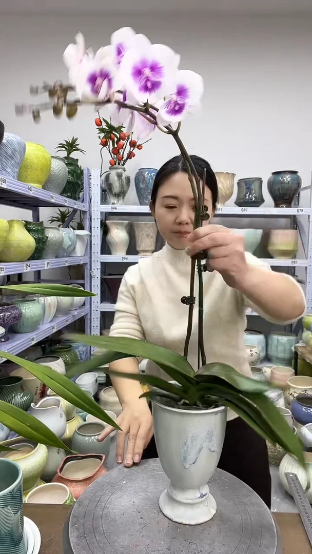 微瑕         11.30陶瓷花盆直播链接高.    17  口11